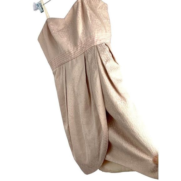 12 Maxandcleo Strapless Mini Dress Nude Bare Pink NWT Lined 6465 Wrap $158 - Picture 1 of 10